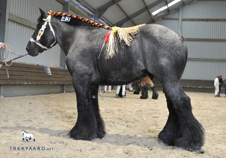 5848-Jim-van-de-Fonteine-DSC_3572